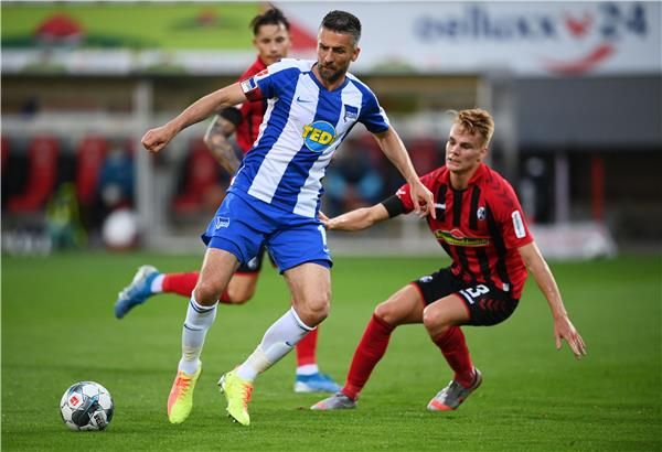 فيداد إيبسيفيتش