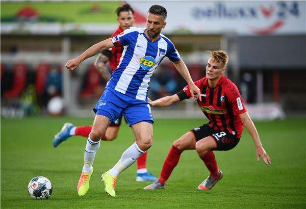 فيداد إيبسيفيتش