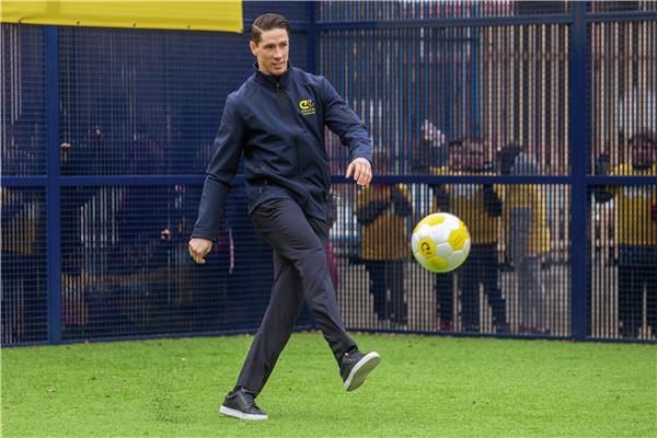  فرناندو توريس