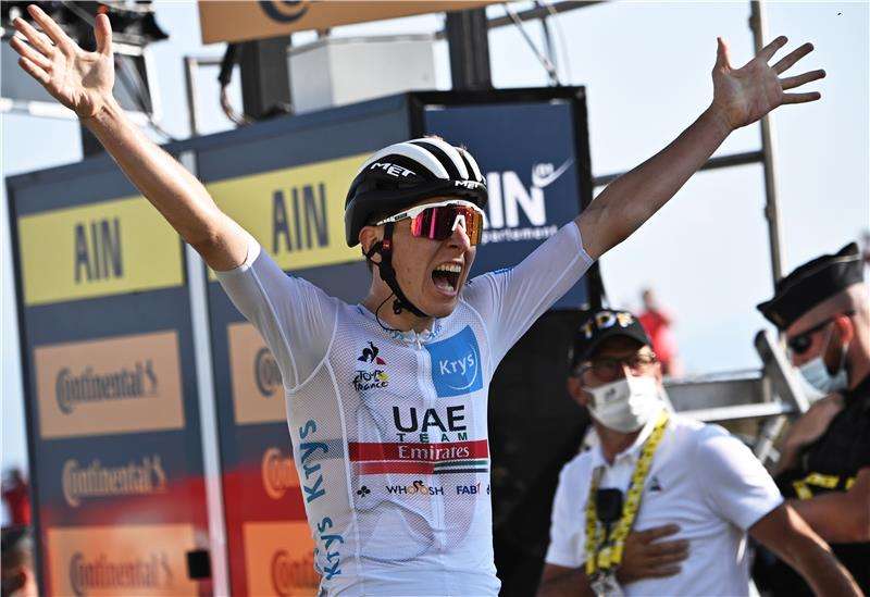 تادي بوجاتشر 