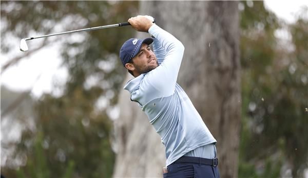 سكوتي شيفلر 