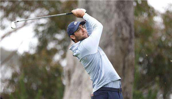 سكوتي شيفلر 