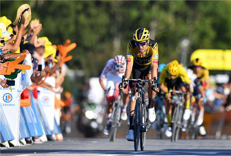 جامبو فيسما