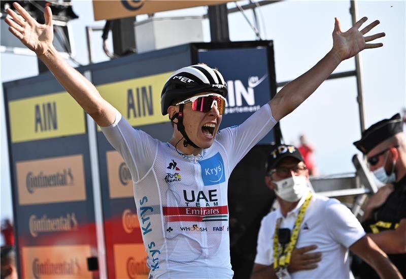 تادي بوجاتشر 