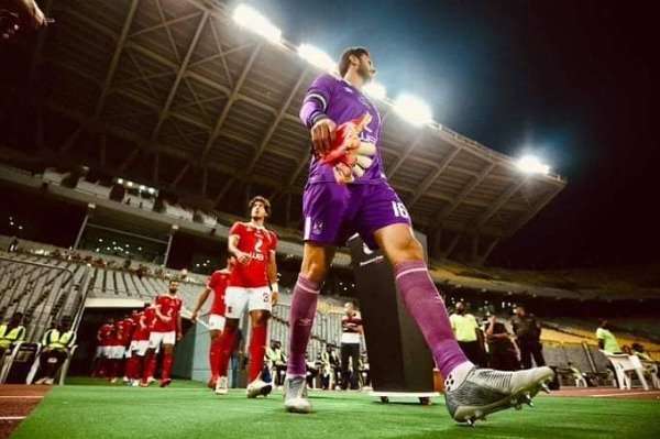 محمد الشناوي 