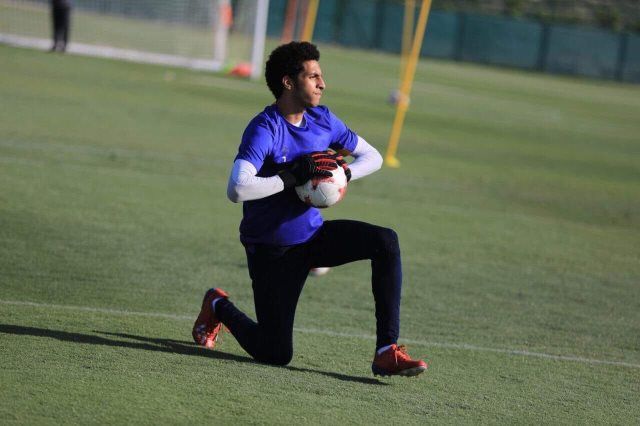 مصطفى شوبير