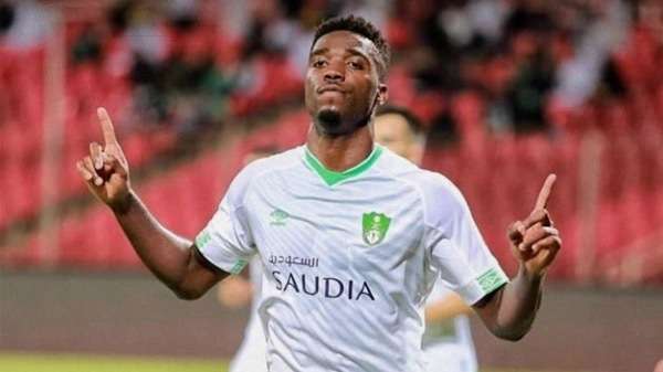 دجانيني تافاريس