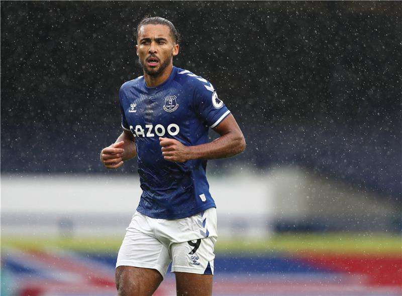 دومينيك كالفيرت ليوين