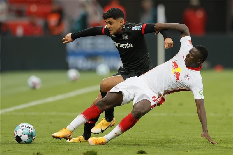 أمادو هايدارا