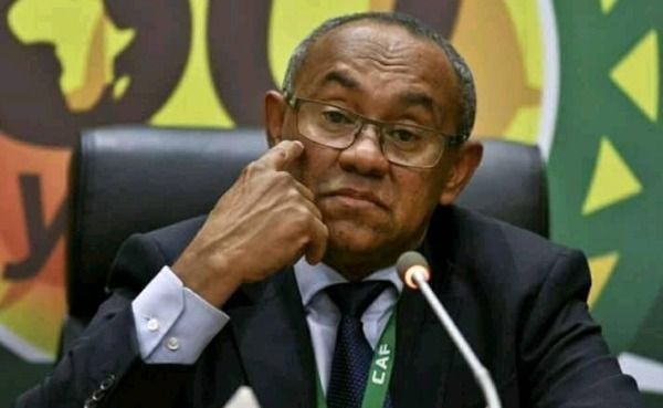 أحمد أحمد