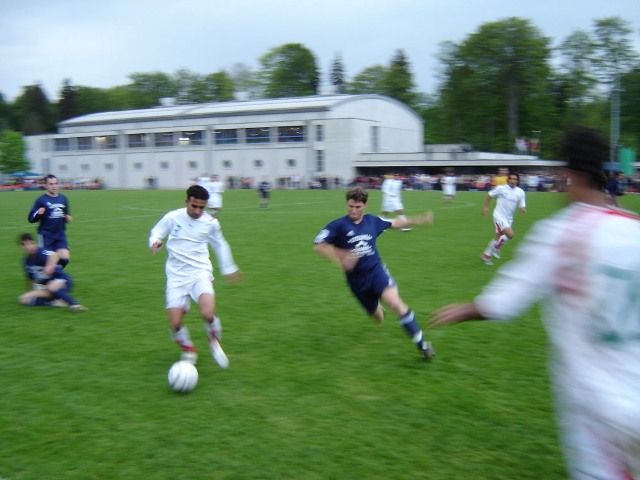 melli_spiez4