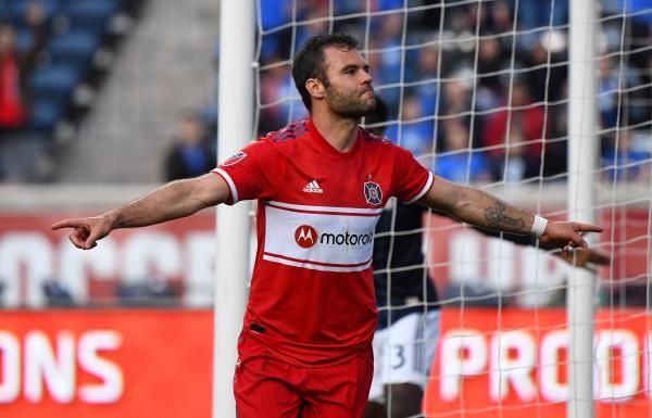 نيمانيا نيكولتش