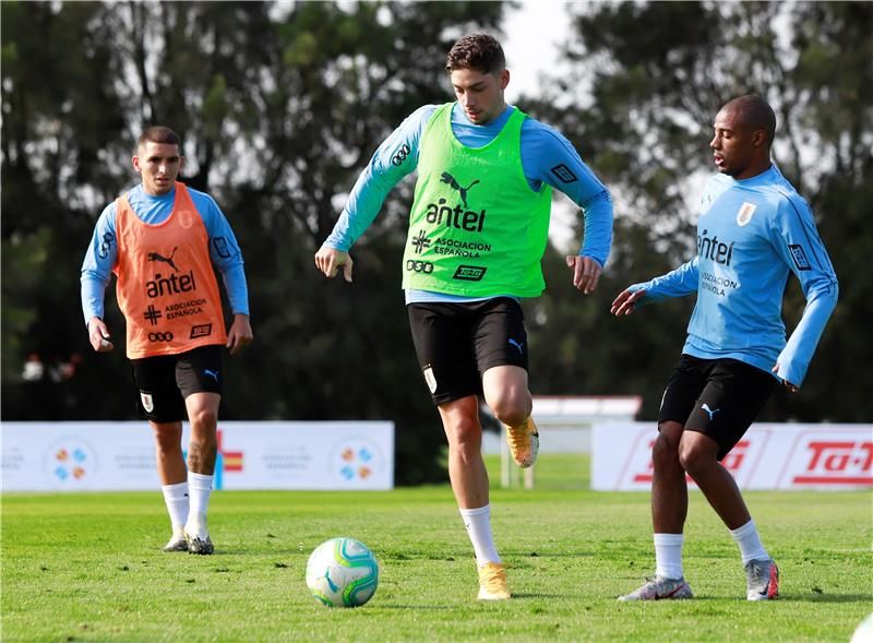 فيدي فالفيردي