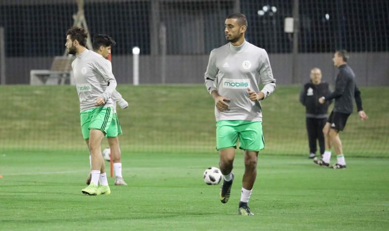 رضا حلايمية