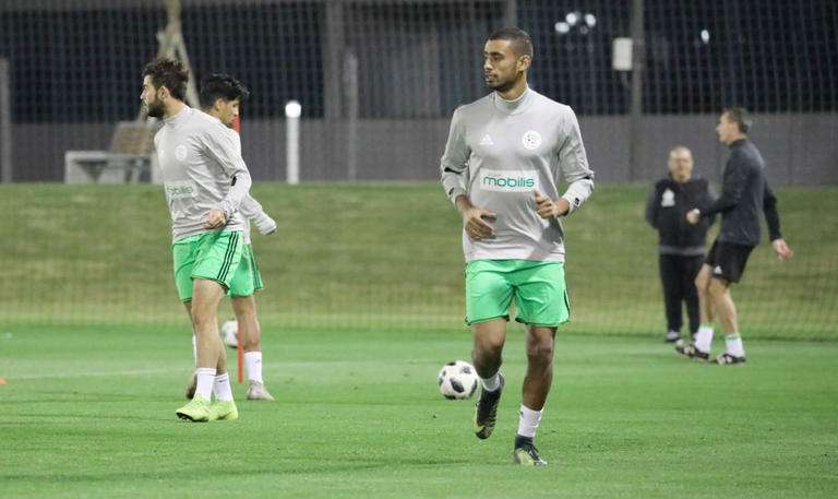 رضا حلايمية