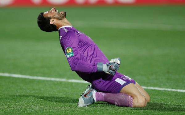 محمد الشناوي