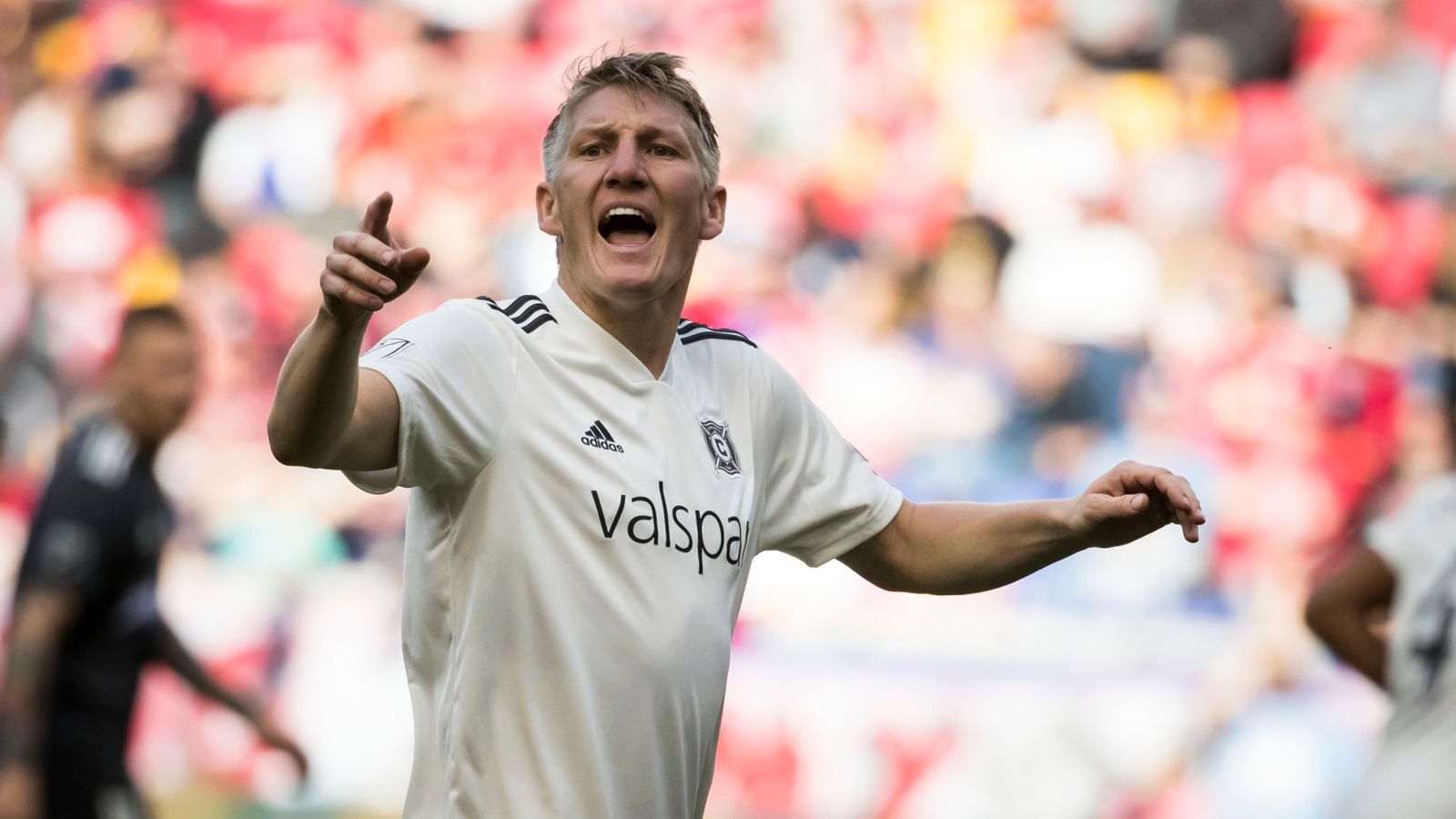 شفاينشتايجر