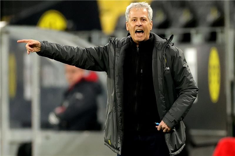 لوسيان فافر