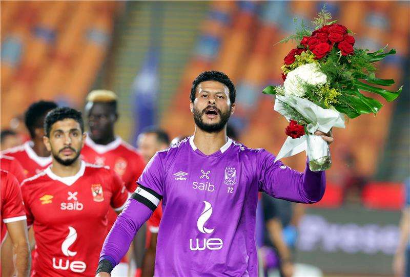 محمد الشناوي