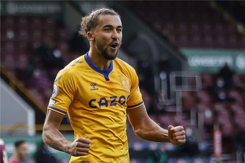 دومينيك كالفرت ليوين