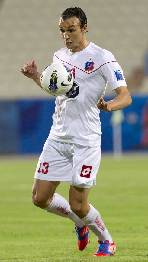 شادي الهمامي