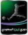 zain_saudi_professional_2009