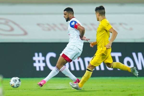 دوري الخليج العربي الاماراتي