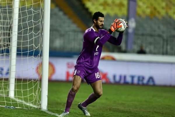 محمد الشناوي 