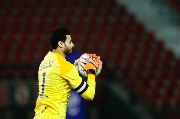 محمد الشناوي