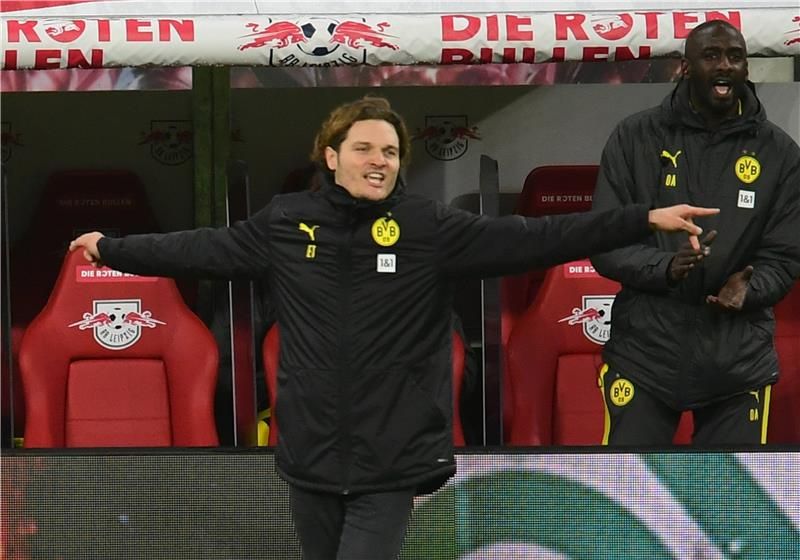 إيدين تيرزيتش