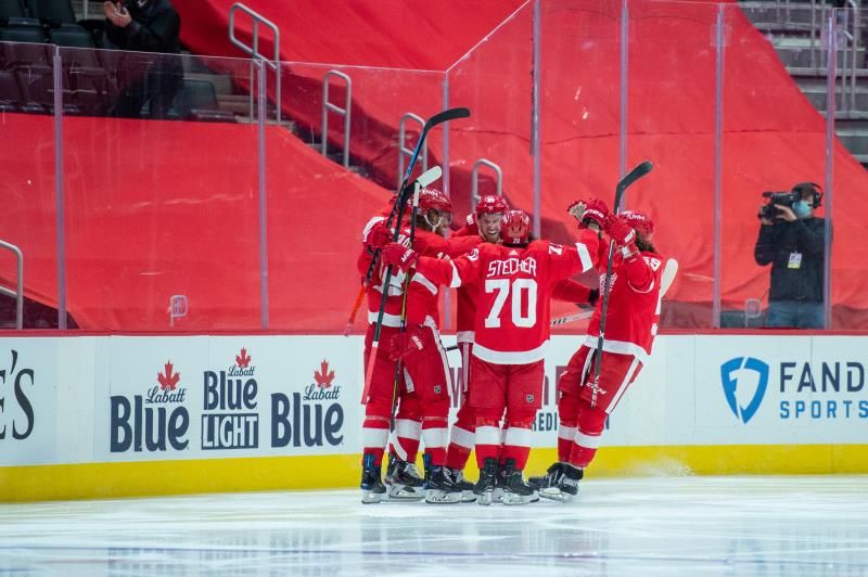 2021-01-17t030328z_1243079234_mt1usatoday15445505_rtrmadp_3_nhl-carolina-hurricanes-at-detroit-red-wings_reuters