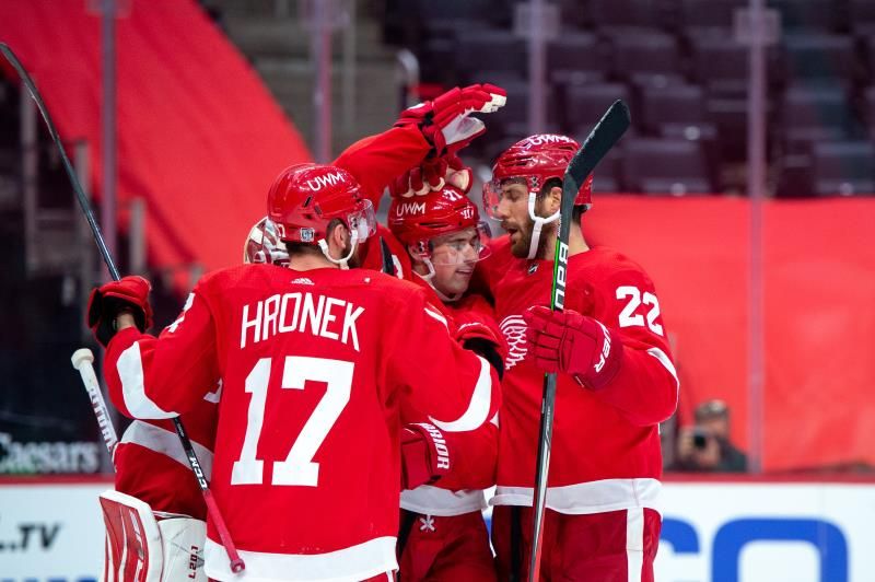 2021-01-17t030325z_1141858442_mt1usatoday15445503_rtrmadp_3_nhl-carolina-hurricanes-at-detroit-red-wings_reuters