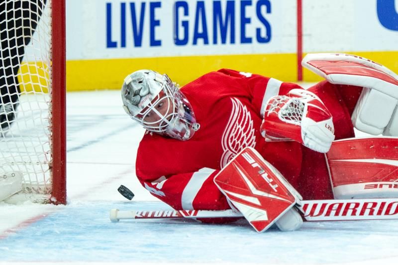 2021-01-17t030323z_587314762_mt1usatoday15445502_rtrmadp_3_nhl-carolina-hurricanes-at-detroit-red-wings_reuters
