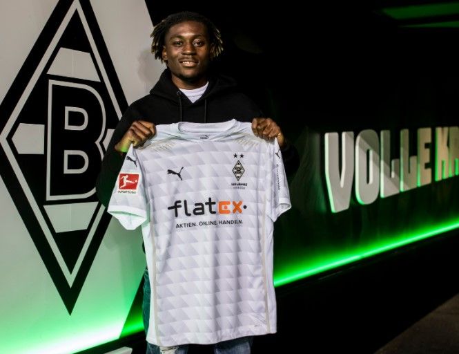 كواديو كوني