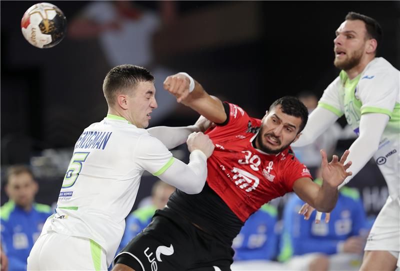 من أحد لقاءات سلوفينيا